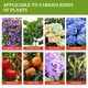thumbnail image 5 of El alimento vegetal promueve el enraizamiento del suplemento de plantas para árboles frutales de plantas de flores Likrtyny  Para estrenar, 5 of 9