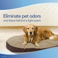 thumbnail image 6 of Febreze Fabric Refresher - Pet Odor Eliminator 16.9 Ounce (Pack of 3), 6 of 7