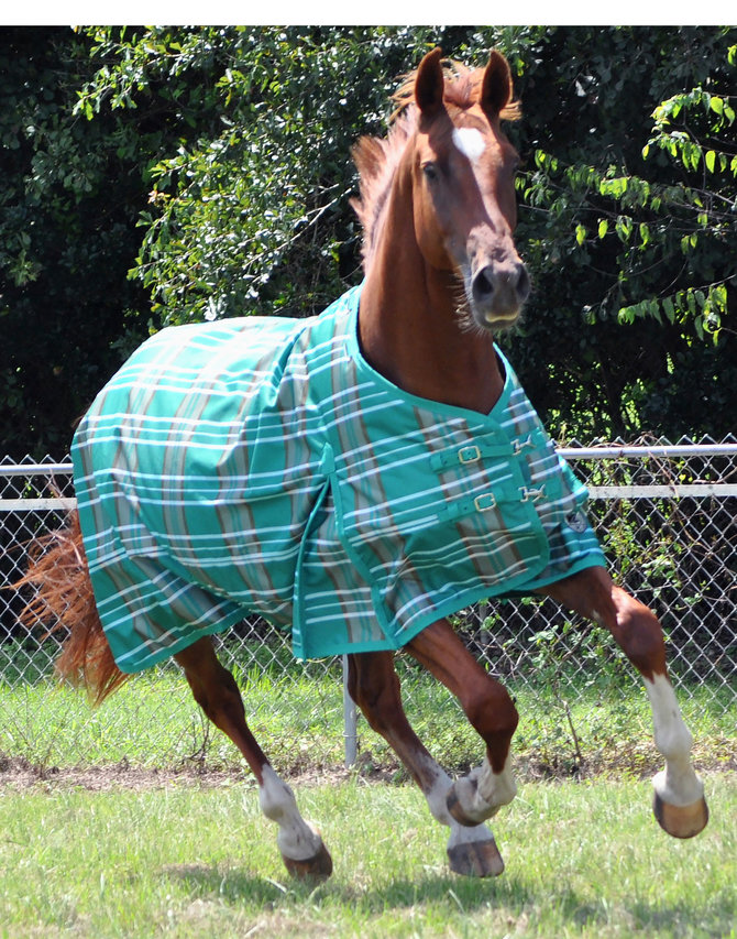 Jeffers Solaris 1200D Draft Turnout Horse Blanket, 240g