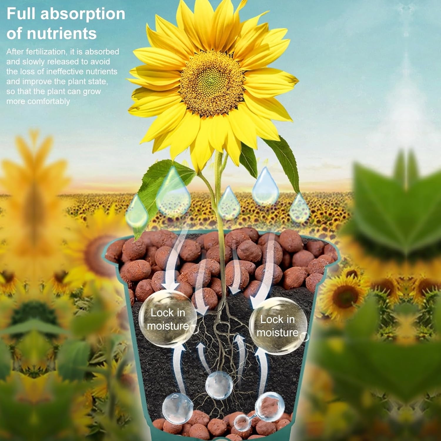Topboutique Expanded Clay Pebbles 8-14mm Natural Clay Ball for Plants Clay Aggregate Grow Media for Aquaponics Plants Orchids Horticultural Drainage, 300 g/0.66 lb