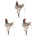 thumbnail image 2 of WHAMVOX 3Ud De Gallina De Acrílico Para Jardín Con Doble Y Duradera Para Exterior, 2 of 8