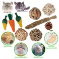 thumbnail image 1 of 9pcs/set Pet Chew Sticks Tooth Cleaning Toy Rabbit Molar Toy Set Cage Bite Stick Accessories, 1 of 7