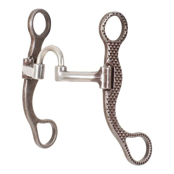 Classic Equine Rasp Straight 6in Shank Bit with Short C