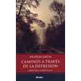 thumbnail image 1 of CAMINOS A TRAVES DE LA DEPRESION: IMPULSOS ESPIRITUALES HERDER ANSELM GRUN, 1 of 2