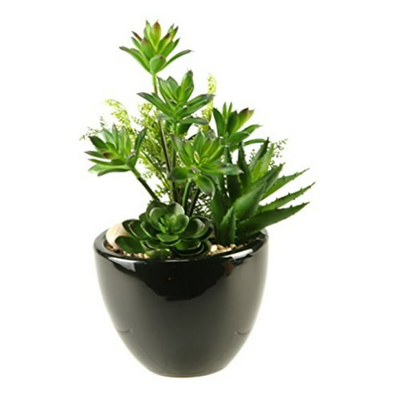 D&W Silks Mini Dracaena Aloe and Echeveria in Round Ceramic Planter