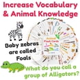 thumbnail image 4 of Tarjetas didácticas de animales para niños pequeños y niños - Tarjetas didácticas Abc de animales - Alfabeto de animales - 101 tarjetas didácticas para niños pequeños - Tarjeta didáctica preescolar pa, 4 of 5