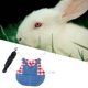 thumbnail image 3 of Chaleco , arnés, chaqueta transpirable multiusos, para proteger para conejillo de , suministros para mascotas - rojo, L L Colco Arnés de conejo, 3 of 8