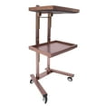 thumbnail image 4 of Stainless Steel Hairdressing Trolley, 2-tier Rectangular Swivel Salon Trolley, Salon Rolling Cart with Trays and Wheels 66.14lbs, 4 of 8