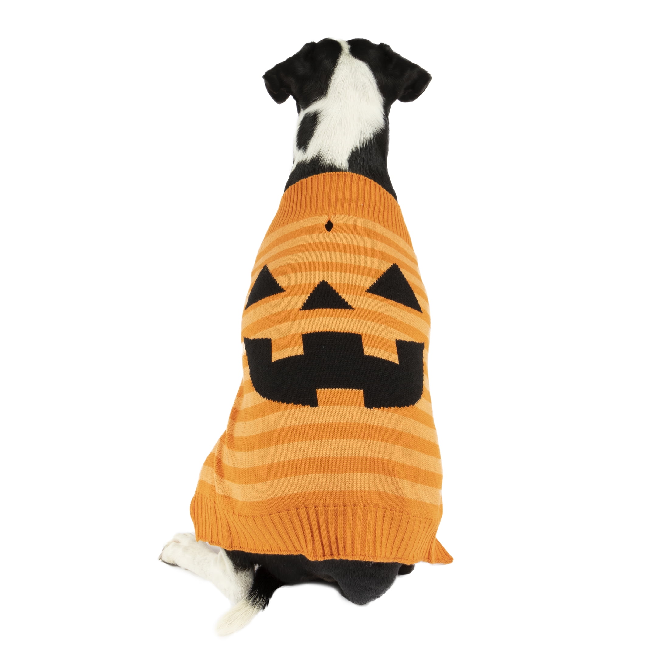 Vibrant Life Halloween Dog Clothes, Orange Jack-O-lantern Sweater, for Dogs, Size Medium