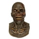 thumbnail image 1 of Máscara zombie Oktober Studios Halloween Terror, 1 of 1