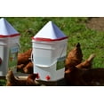 RentACoop 5 Gallon Chicken BPAFree Plastic Bucket Waterer Set with 4