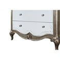 thumbnail image 4 of ACME Esteban Chest in Antique Champagne Silver Finish, 4 of 5