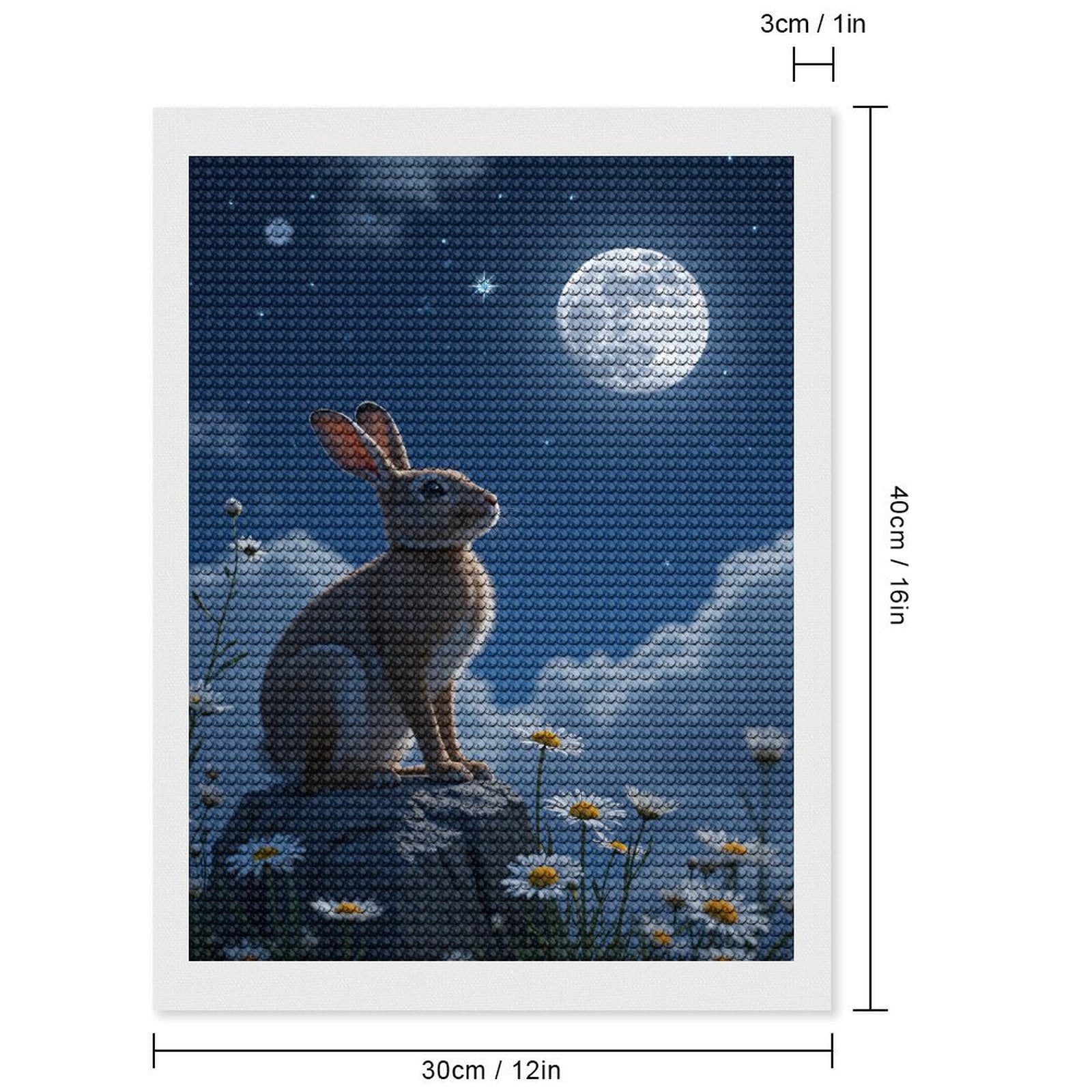 Diamond Art Kits for Adults, Rabbit Moonlit Meadow Night Sky 5D Diamond Painting Kits for Adults Beginners, DIY Full Drill Diamond Painting, Gem Art and Crafts 12x16