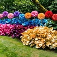 thumbnail image 5 of "Good Luck" Hosta Cultivation Granules — Organic, Non-GMO, Perennial Ornamental Plant. Easy to cultivate; includes comprehensive post-purchase guidance, making it ideal for beginners.500-1500Pcs, 5 of 8