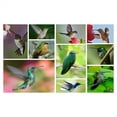 thumbnail image 2 of Comedero para Pájaros Comedero para Pájaros con Ventana 2 Soportes de Acero, con Puertos de Alimentación, Comedero para Pájaros Al Aire Libre Fácil de Llenar,40 cm, 2 of 5