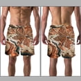 thumbnail image 3 of luoweisi Men's Beach Shorts Quick Dry Swim Trunks with Mesh Lining Map M, 3 of 5