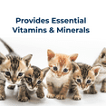 thumbnail image 6 of Pet-Ag PetLac Liquid for Kittens - 32 oz, 6 of 9