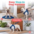 thumbnail image 3 of Voyager Step-In Air Mesh Dog Harness by Best Pet Supplies, 3 of 8