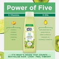 thumbnail image 3 of Alberto VO5 Kiwi Lime Clarifying Hair Conditioner with Rosemary Extract, 98% Naturally Derived, Paraben Free, Vitamin-Enriched Formula for Fresh, Clean Hair, 3 of 6