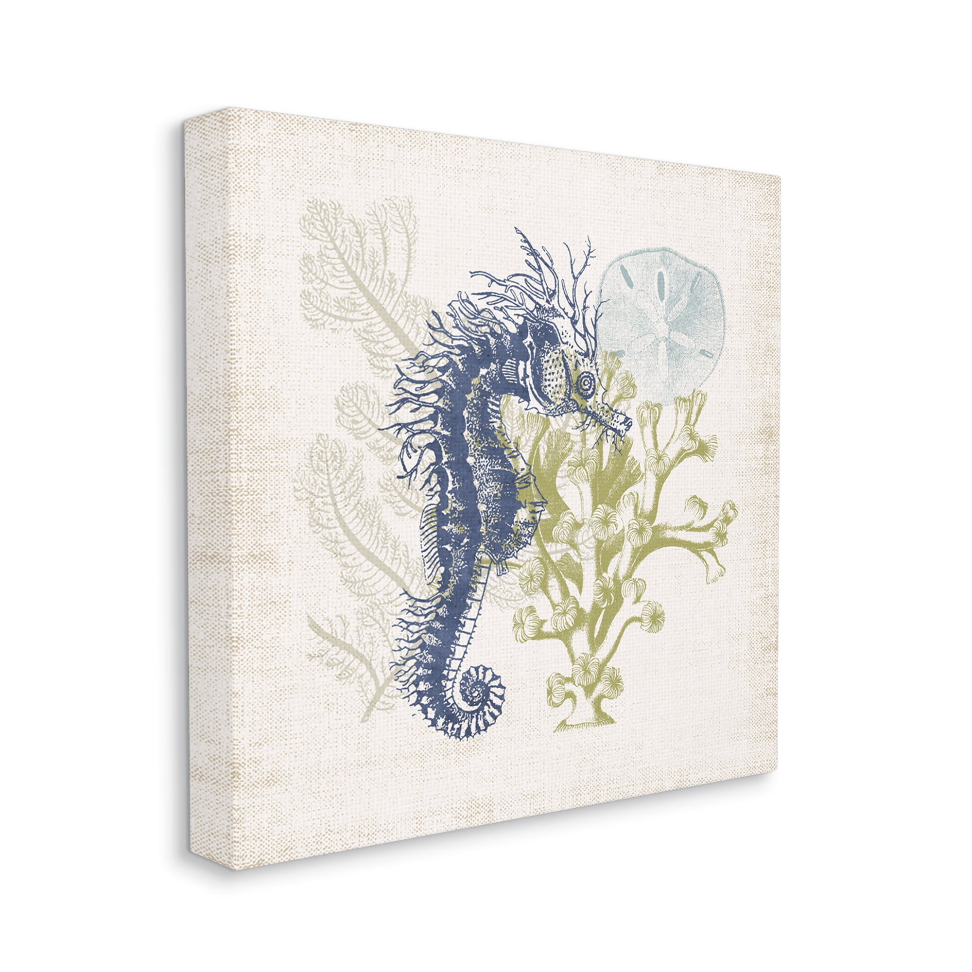 Stupell Industries Intricate Seahorse Overlay Sand Dollar Coral Botanicals Graphic Art Gallery Wrapped Canvas Print Wall Art, Design by Victoria Barnes