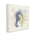 thumbnail image 3 of Stupell Industries Intricate Seahorse Overlay Sand Dollar Coral Botanicals Graphic Art Gallery Wrapped Canvas Print Wall Art, Design by Victoria Barnes, 3 of 7