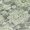 Aloe, variant on Addison Rugs Chantille Indoor/Outdoor Transitional Floral Aloe Washable Rectangle Rug, 1'8" x 2'6"