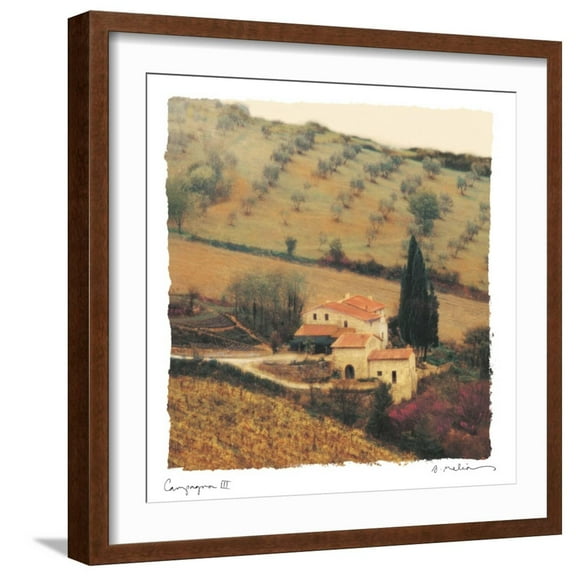 Art.com Campagna III Art Print by Amy Melious, Brown Frame Wall Art, 21" x 21"