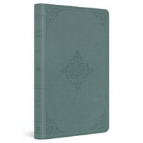 ESV Value Thinline Bible (Trutone, Paris Sky, Fleur-De-Lis Design), (Hardcover)