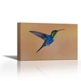 thumbnail image 1 of Violet-crowned Woodnymph hummingbird male flying, Costa Rica - Contemporary Fine Art Giclee on Canvas Gallery Wrap - wall décor - Art painting - 36 x 24 Inch - Ready to Hang, 1 of 2
