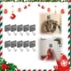 thumbnail image 1 of 10 Ganchos Navideños Adhesivos | Gancho Perforador Sin Clavos | Gris | 260 G | 10 X 6 X 3 Cm | Gancho para Ropa de Cocina y Baño, 1 of 6