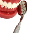 thumbnail image 4 of Miroir Dentaire Anti-Buée Rhodium Forme Longue avec Poignée Outils Dentaires de Haute Qualité, 4 of 6