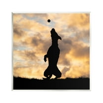 Stupell Industries Dog Playing Sunset Silhouette Animals & Insects Photography Unframed Art Print Wall Art, 12 x 12