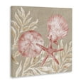 thumbnail image 3 of Stupell Industries Tampico Shells & Sand Dollar Canvas Wall Art, design by Paul Brent, 24 x 24, 3 of 7