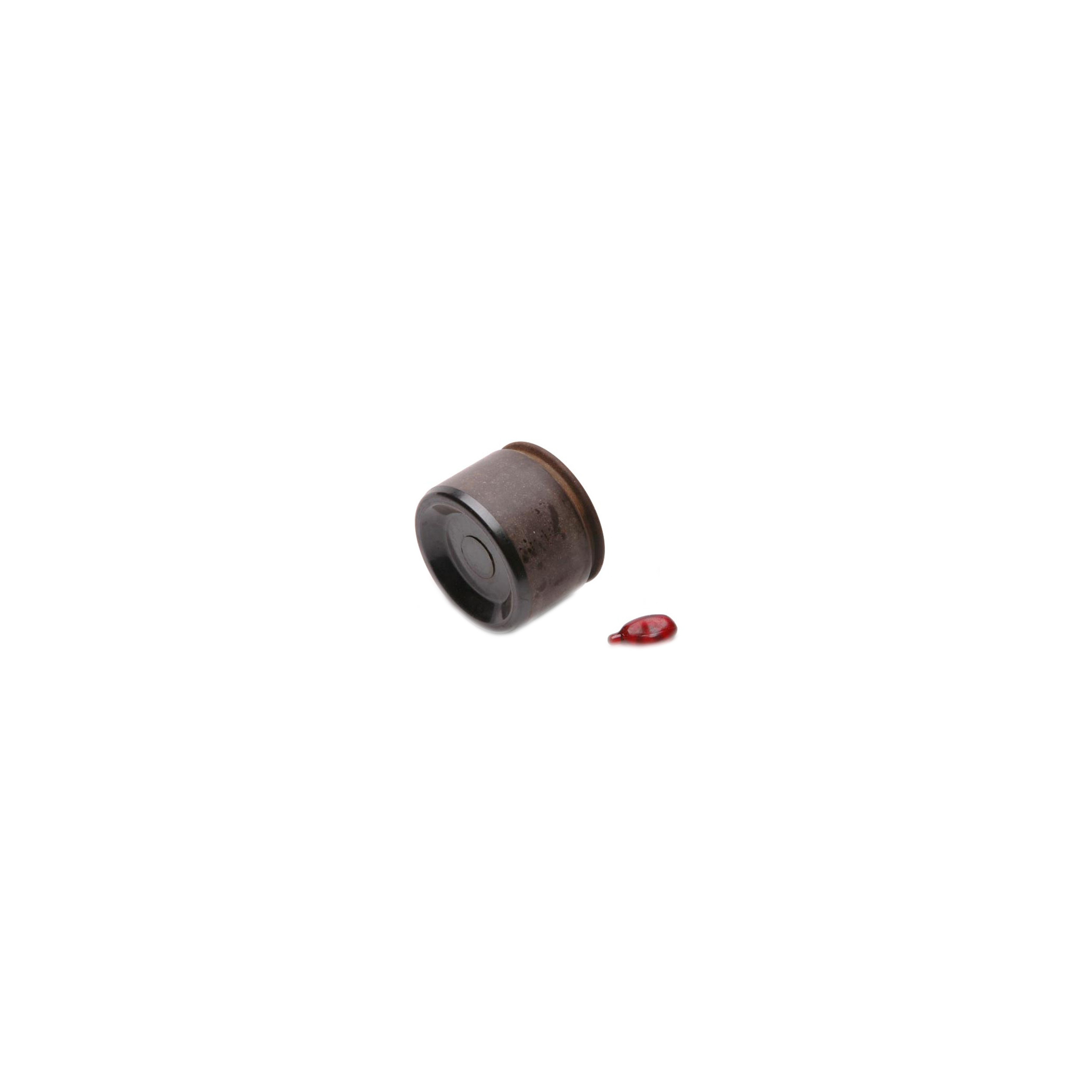 Raybestos R-Line Disc Brake Caliper Pistons Fits select: 1979-1980 AMERICAN MOTORS JEEP, 1980-1981 JEEP JEEP