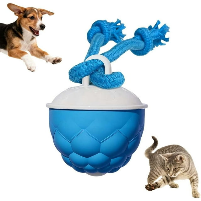 Interactive Dog Toys Touch Activated Bouncing & Jumping Dog Ball with Rope, Smart Automatic Rolling Toy, USB Rechargeable, Squeaky Doggie Toys to Keep Them Busy (Blue)