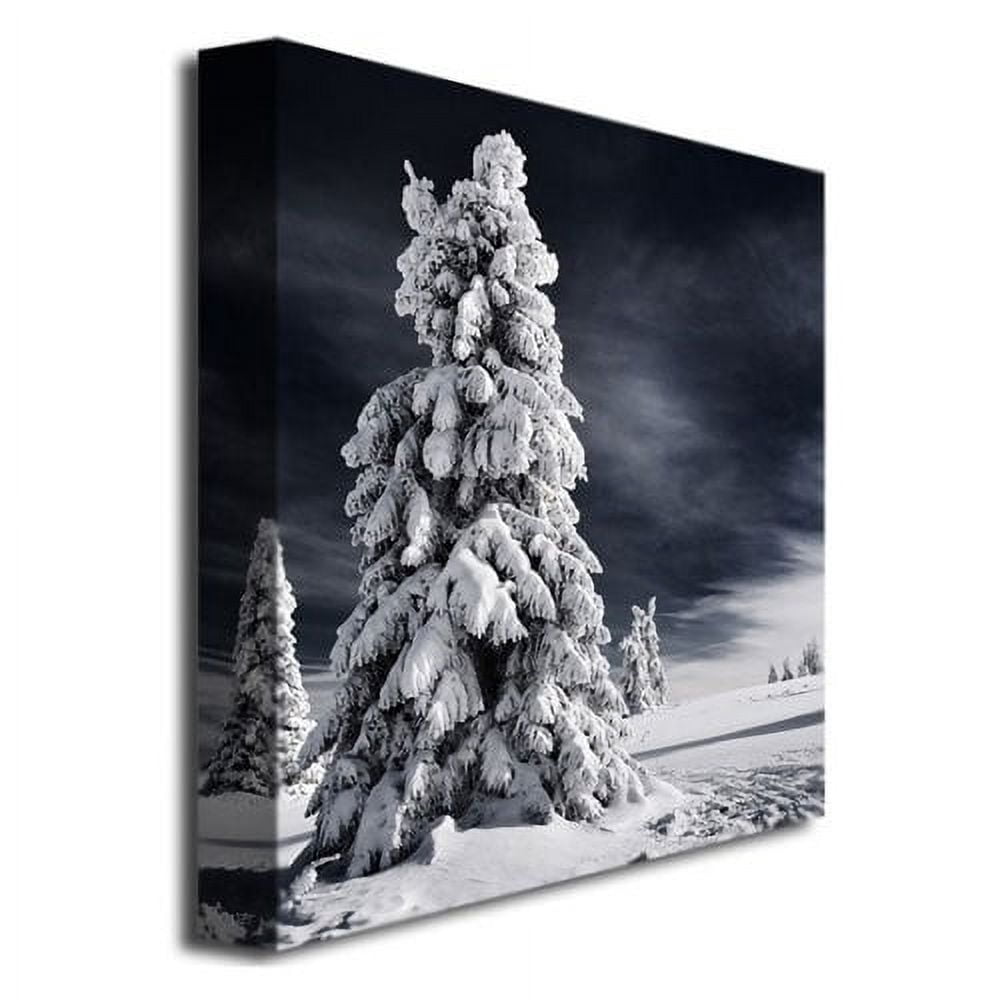 White Ink by Philippe Sainte-Laudy, 18x18-Inch Canvas Wall Art