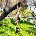 thumbnail image 2 of Set of 6 Vintage Metal Cowbell with Rope for Home Decor and Craft Projects, 2 of 9