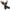 Black 2PCS, variant on Kcodviy 2Pairs Ladies Girls Neon Women Gloves Long Fingerless Fishnet Lace Gloves Mittens Women High Elasticity Gloves Gloves Mittens Convertible Gloves Mitten