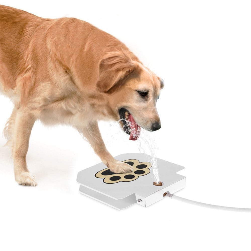 dog pet water fountain