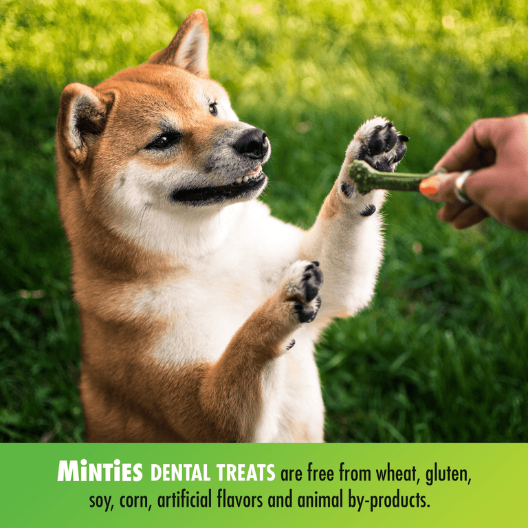 Minties dog treats walmart cheap