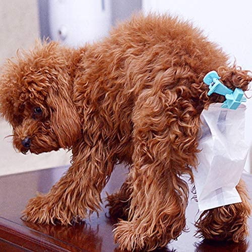 Dog poop bag that clips to tail online