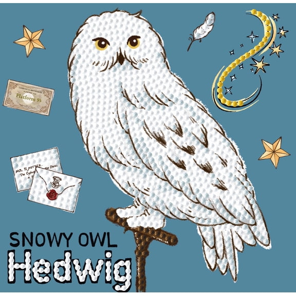 DIAMOND DOTZ® Harry Potter Snowy Owl Hedwig Special Edition DOTZ® Box Diamond Painting Kit