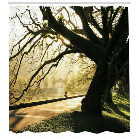 Tree Shower Curtain Taiping Lake Gardens Malaysia Serene Tranquil