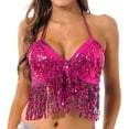 thumbnail image 1 of WILLBEST Brasier Push Up Mujer Sujetador De Lentejuelas Con Borlas Para Danza Del Vientre Para Mujer, 1 of 3