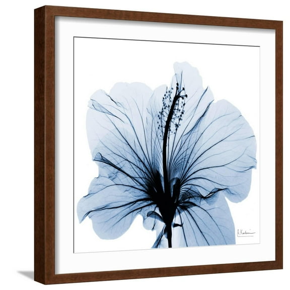 Art.com Indigo Hibiscus Art Print by Albert Koetsier, Brown Frame Wall Art, 21" x 21"