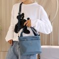 thumbnail image 2 of Bolso bandolera de mujer de mediana edad, 2 of 3