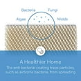thumbnail image 3 of Honeywell Home HC22P Whole House Humidifier Pad, Paper, Anti-Microbial Coating, 3 of 4