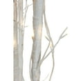 thumbnail image 3 of White Birch Trees - 160 Leds - 71 in, 3 of 3