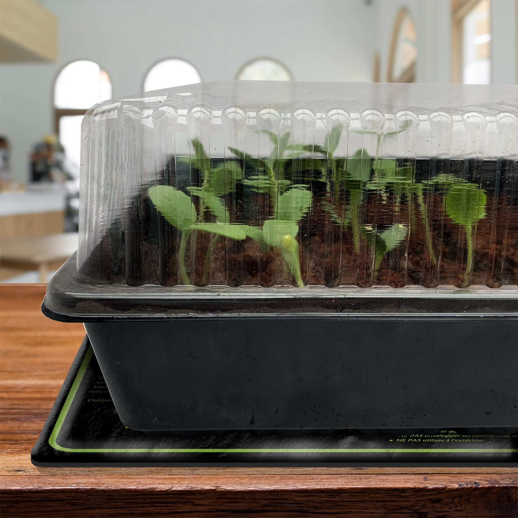 Ferry~Morse Heat Mats and Grow Lights Make Germinating Seeds Indoors Easy –  Ferry-Morse