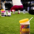 thumbnail image 4 of MyoBlox 24/7 Aminos Complete BCAA + EAA Formula (30 Servings, Color of Money), 4 of 8